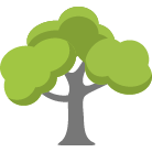Salem Tree Trimming