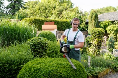 Tree Trimming Service