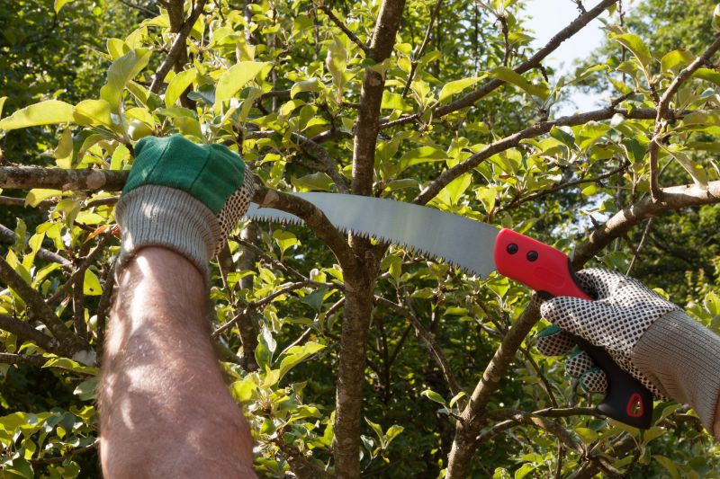 Oak Tree Pruning