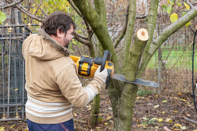 Tree Cutting Service